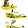 LA GRAN CASA DE OSITO POMPÓN - Imagen 2